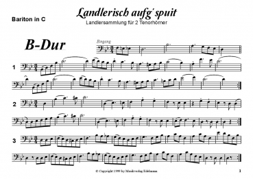 Landlerisch aufg´spuit - Zusatzstimme Download